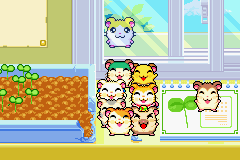 screenshots/Game Boy Advance/Hamtaro - Rainbow Rescue/Hamtaro - Rainbow Rescue (Eng) 055.png
